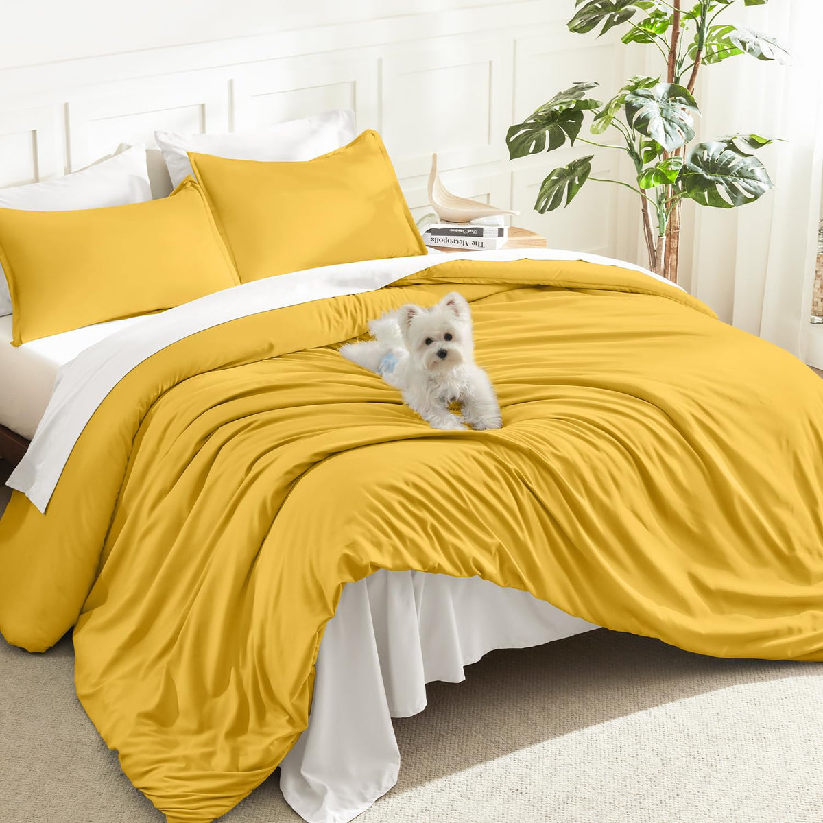Litanika Queen Comforter Set Sage Green, 3 Pieces Lightweight Solid Bed Set