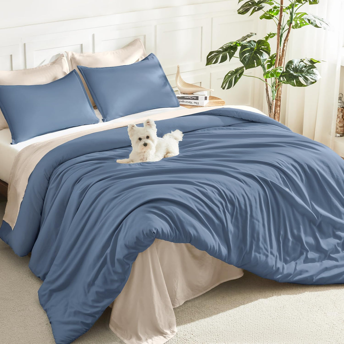 Litanika Queen Comforter Set Sage Green, 3 Pieces Lightweight Solid Bed Set
