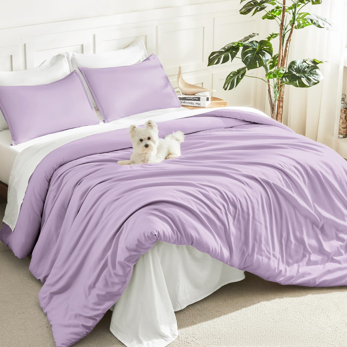 Litanika Queen Comforter Set Sage Green, 3 Pieces Lightweight Solid Bed Set