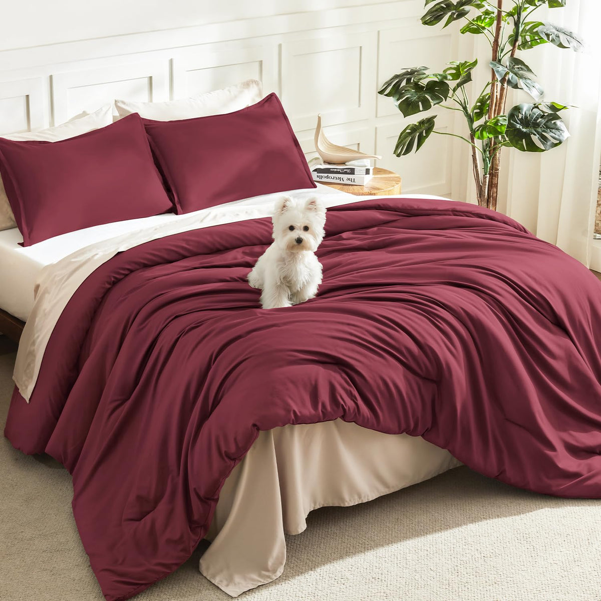 Litanika Queen Comforter Set Sage Green, 3 Pieces Lightweight Solid Bed Set
