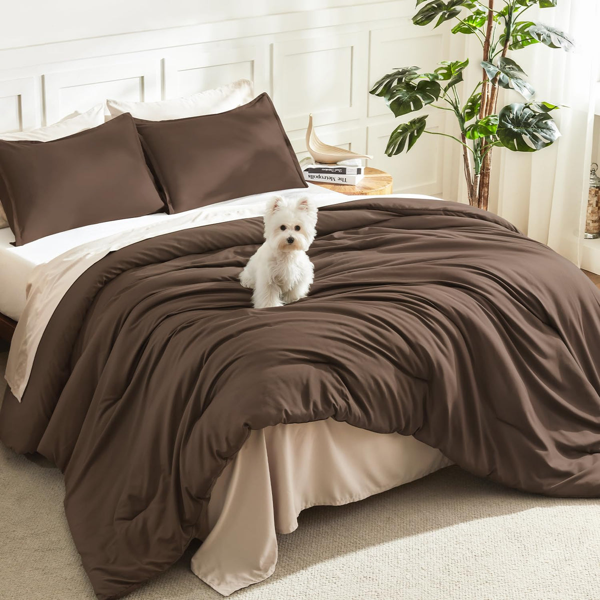 Litanika Queen Comforter Set Sage Green, 3 Pieces Lightweight Solid Bed Set