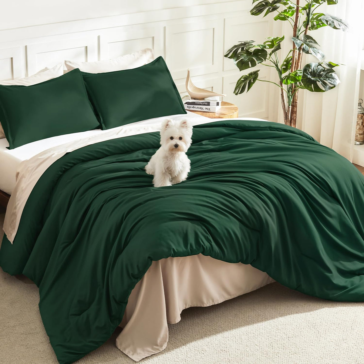 Litanika Queen Comforter Set Sage Green, 3 Pieces Lightweight Solid Bed Set