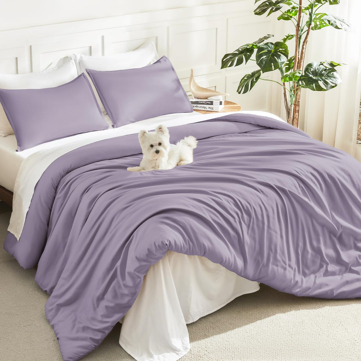 Litanika Queen Comforter Set Sage Green, 3 Pieces Lightweight Solid Bed Set