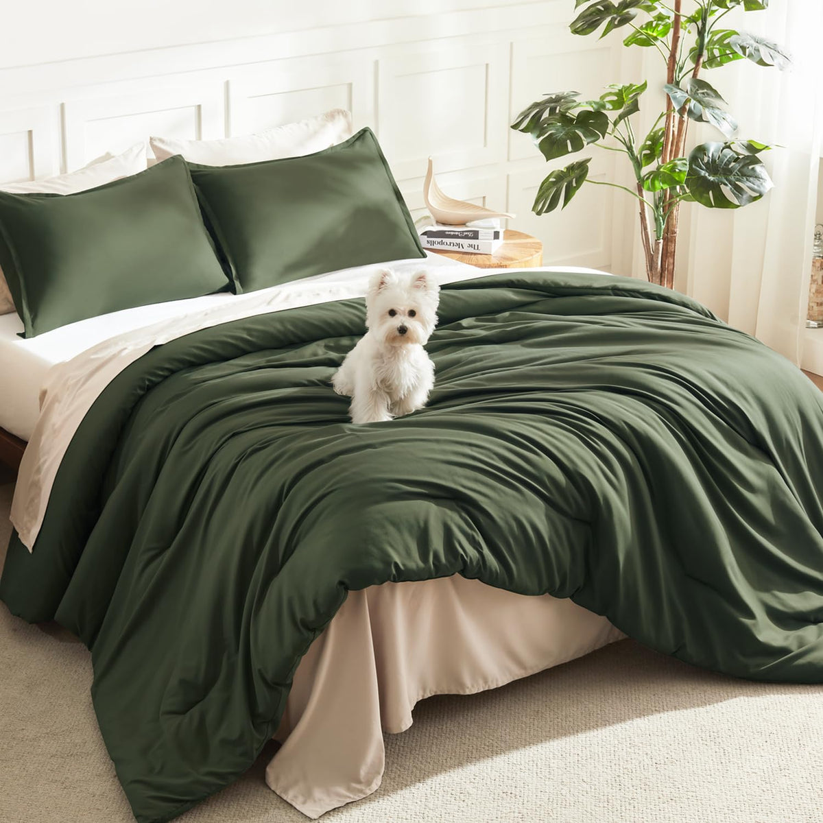 Litanika Queen Comforter Set Sage Green, 3 Pieces Lightweight Solid Bed Set