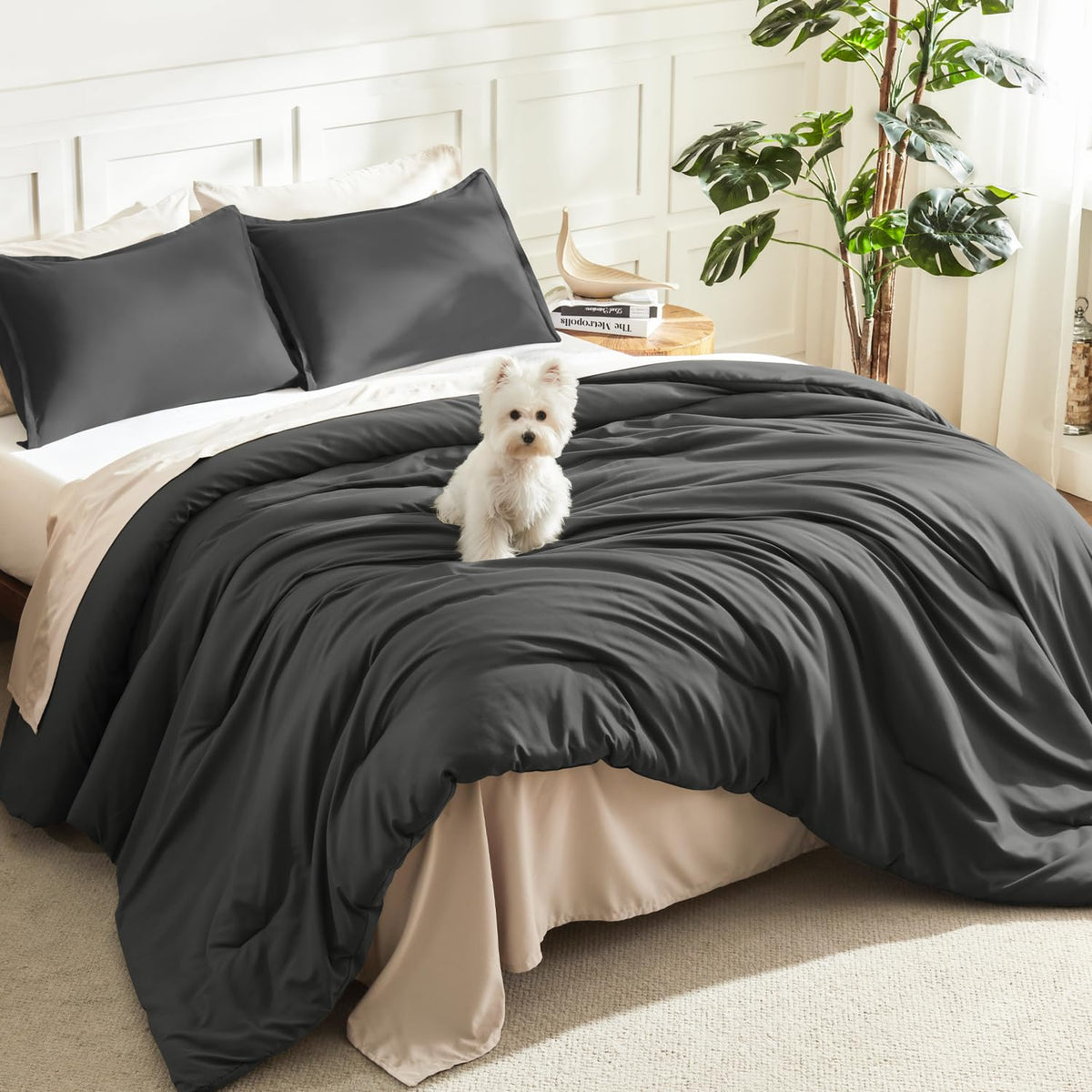 Litanika Queen Comforter Set Sage Green, 3 Pieces Lightweight Solid Bed Set