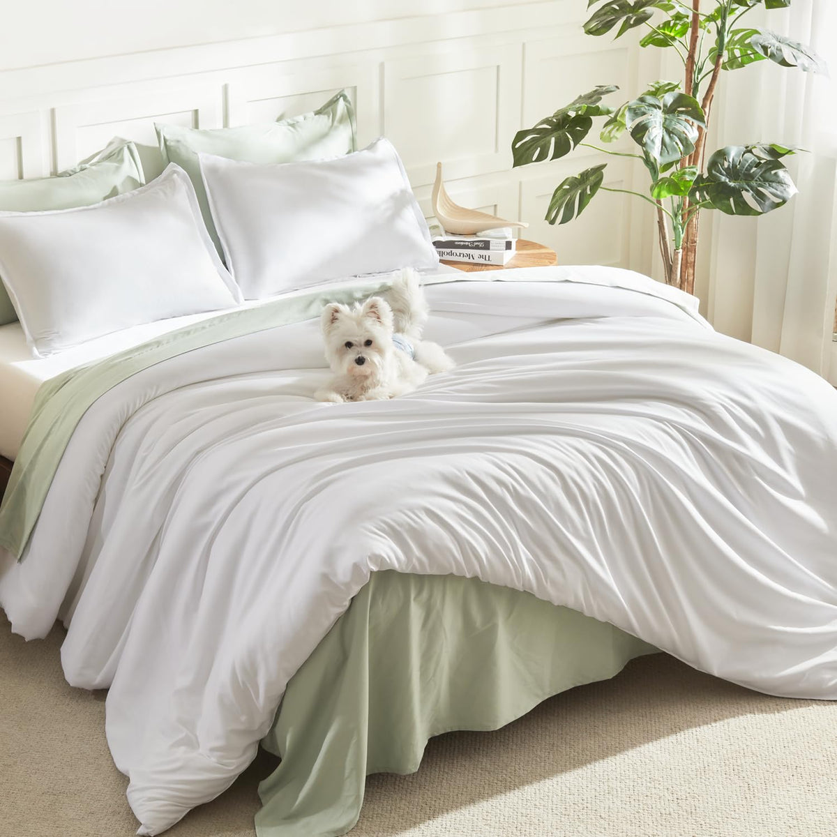 Litanika Queen Comforter Set Sage Green, 3 Pieces Lightweight Solid Bed Set