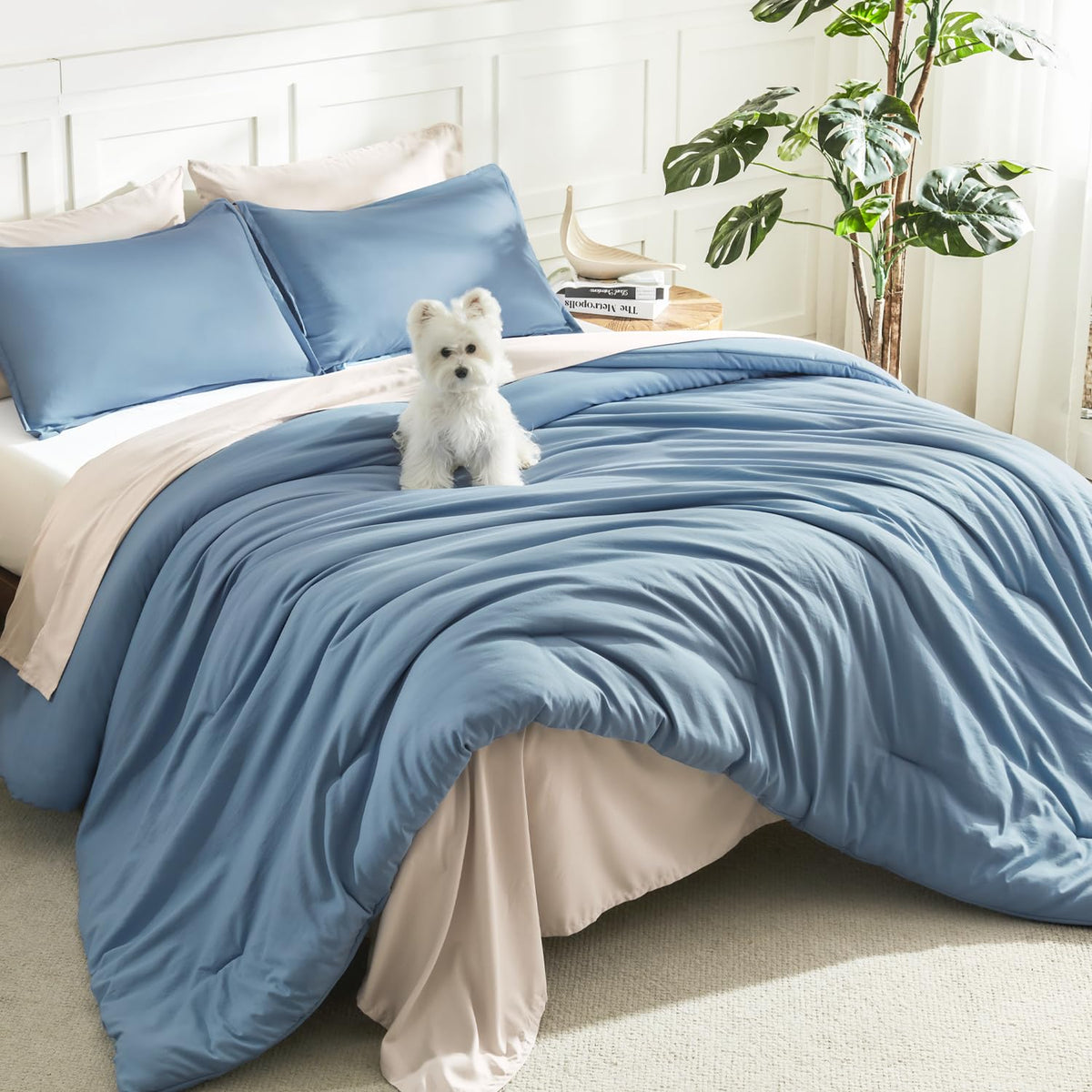 Litanika Queen Comforter Set Sage Green, 3 Pieces Lightweight Solid Bed Set