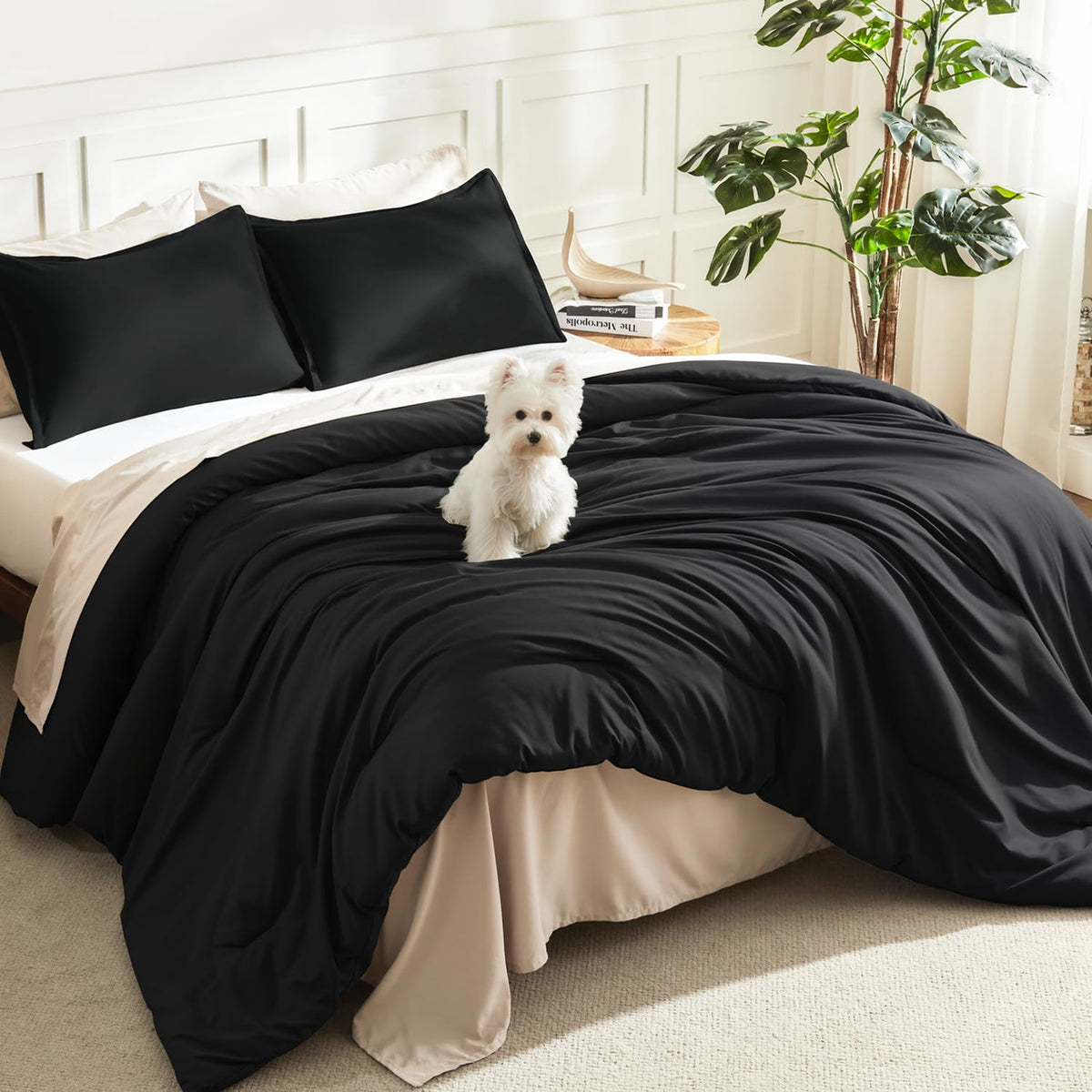 Litanika Queen Comforter Set Sage Green, 3 Pieces Lightweight Solid Bed Set