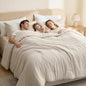 Bedsure Queen Size Comforter Sets, Beige Cationic Dyed Bedding Set 3 Pcs