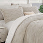 BEDELITE Fluffy Sherpa Queen Comforter Set,Grey
