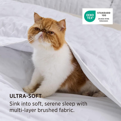 Bedsure Quilts Queen Size - Lightweight Comforter Queen Size for Summer, Bright White Bedspread Quilt with Clover Pattern, Soft Ultrasonic Coverlet, Modern All-Season Bedding, 90 x 96 Inches