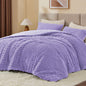 BEDELITE Fluffy Queen Comforter Set, Dark Grey Fleece Bed Set 3 Pieces