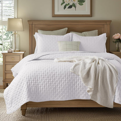 Bedsure Quilts Queen Size - Lightweight Comforter Queen Size for Summer, Bright White Bedspread Quilt with Clover Pattern, Soft Ultrasonic Coverlet, Modern All-Season Bedding, 90 x 96 Inches